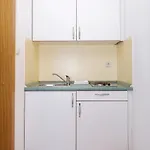 Vukic Apartment